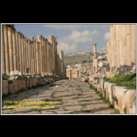 17741 08 091 Jerash Jordanien 2011.jpg